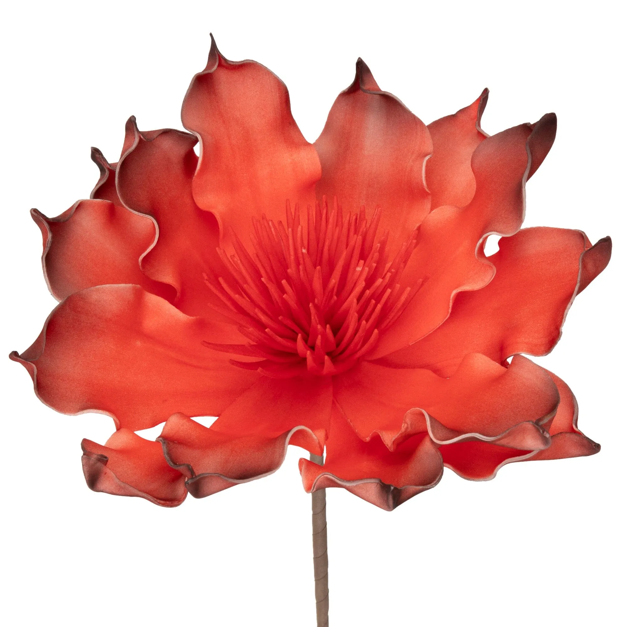 23Aw Artplants Aloe Flower Red