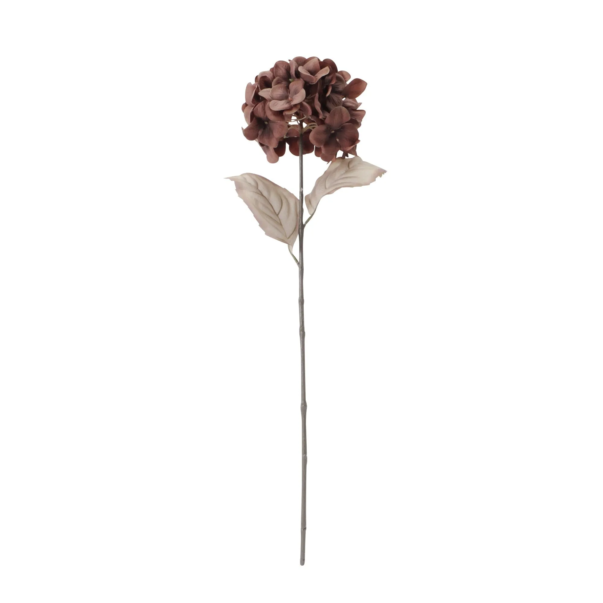 Art Flower Hydrangea Brown