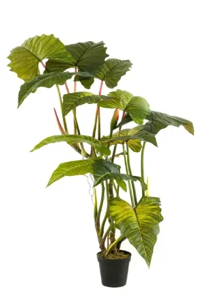 Artificial Elephant Ears Plant Set (2) | Emerald Colocasia On Trunk