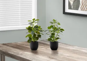 Artificial Plant, 14" Tall, Ficus, Indoor, Faux, Fake, Table, Greenery, Potted, Set Of 2, Decorative, Green Leaves, Black Pots