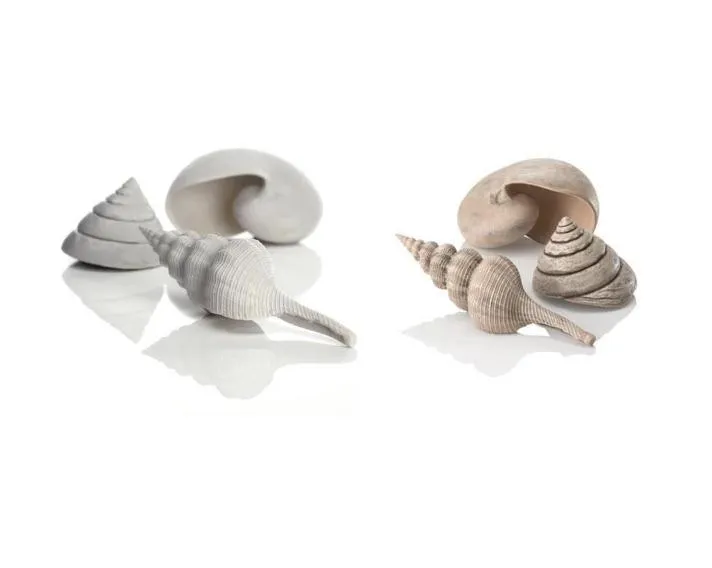 biOrb Sea shell Set