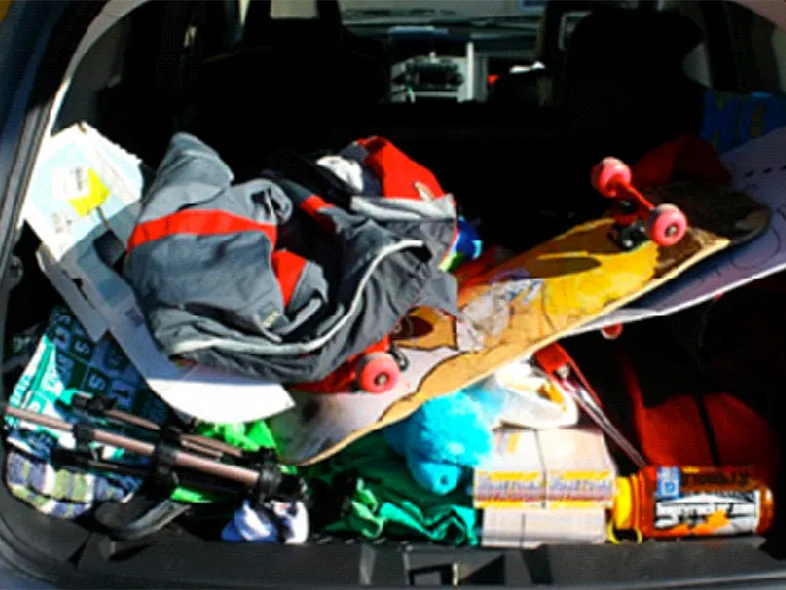 Car Storage Organizer With Cooler Compartment