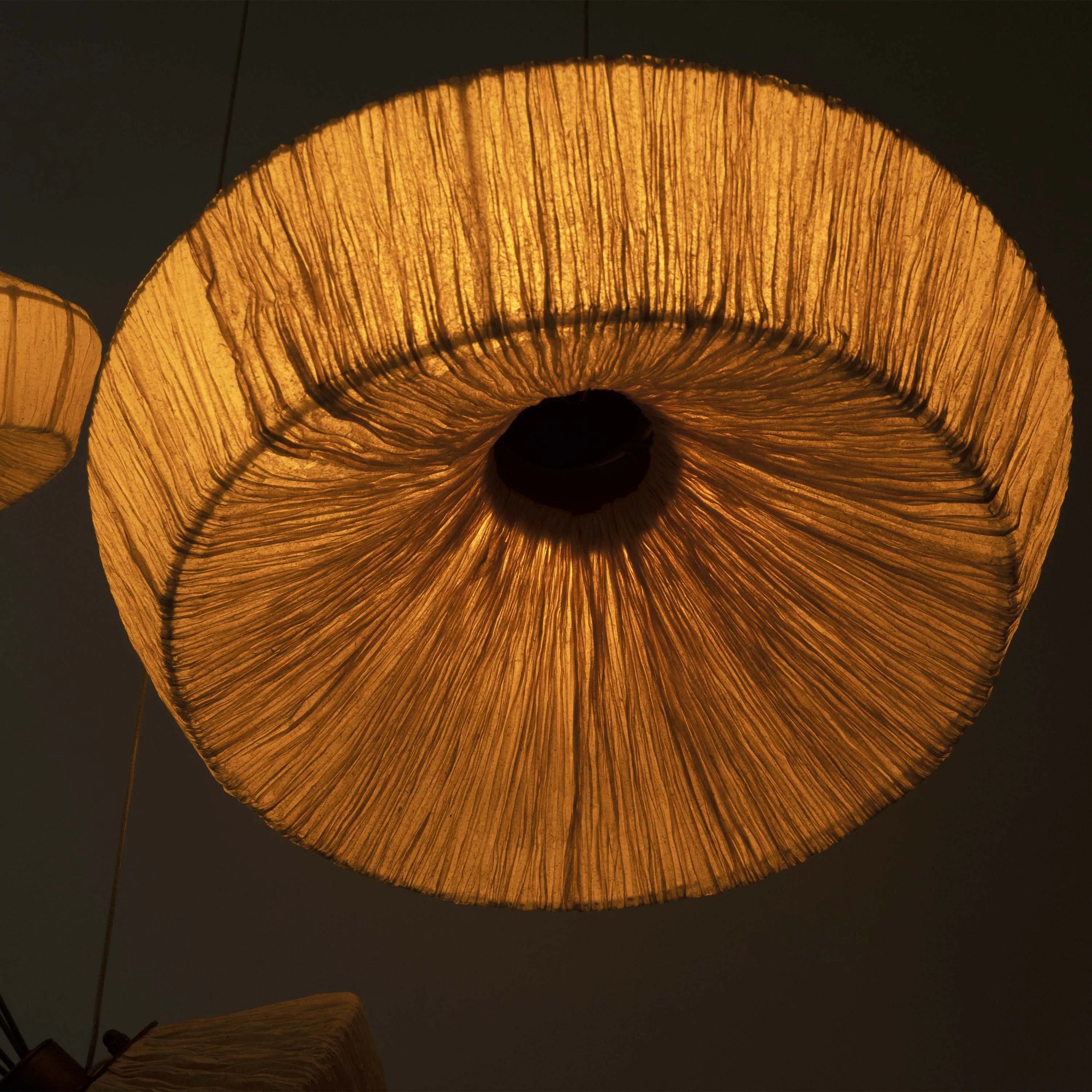 Dandelion Pendant Lamp