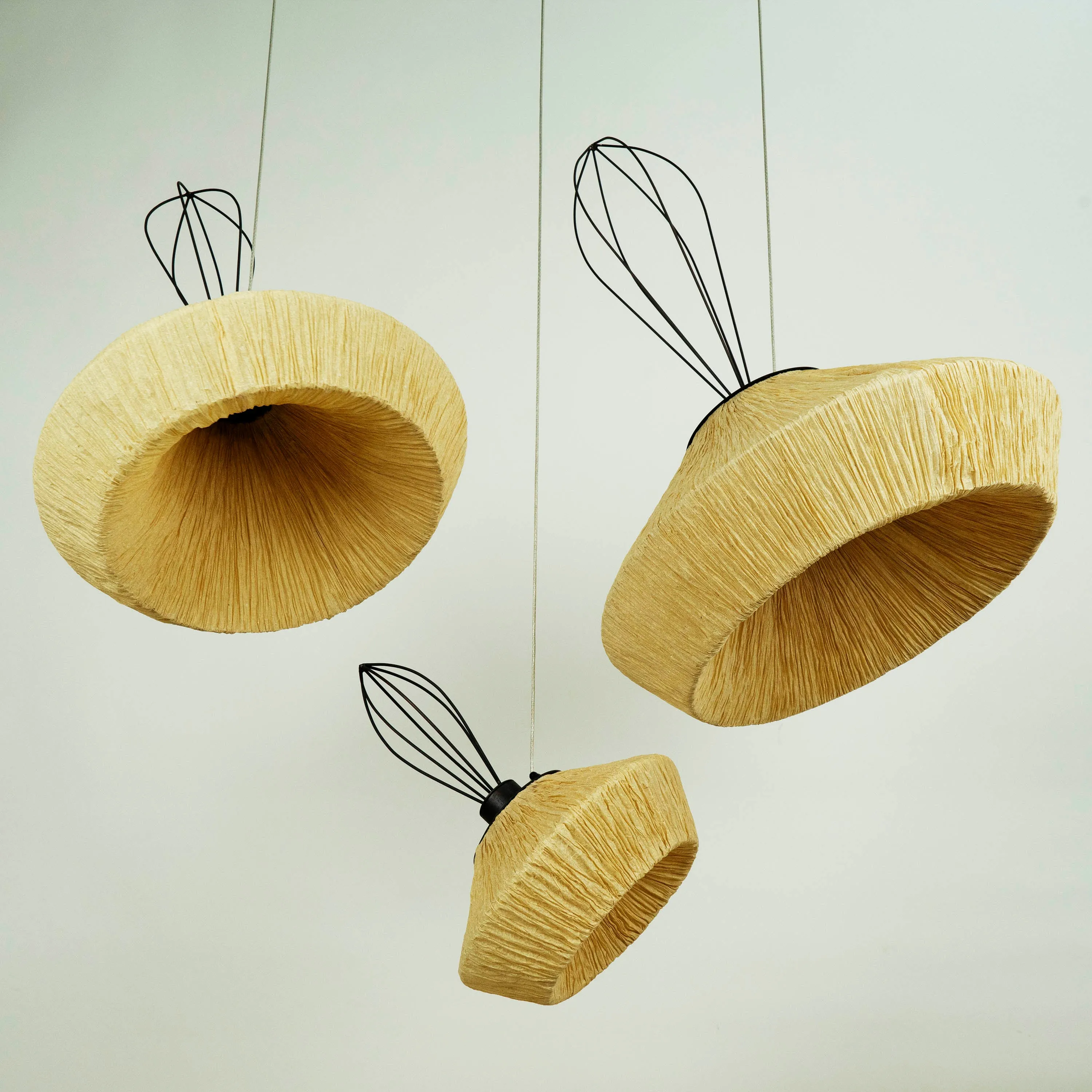 Dandelion Pendant Lamp