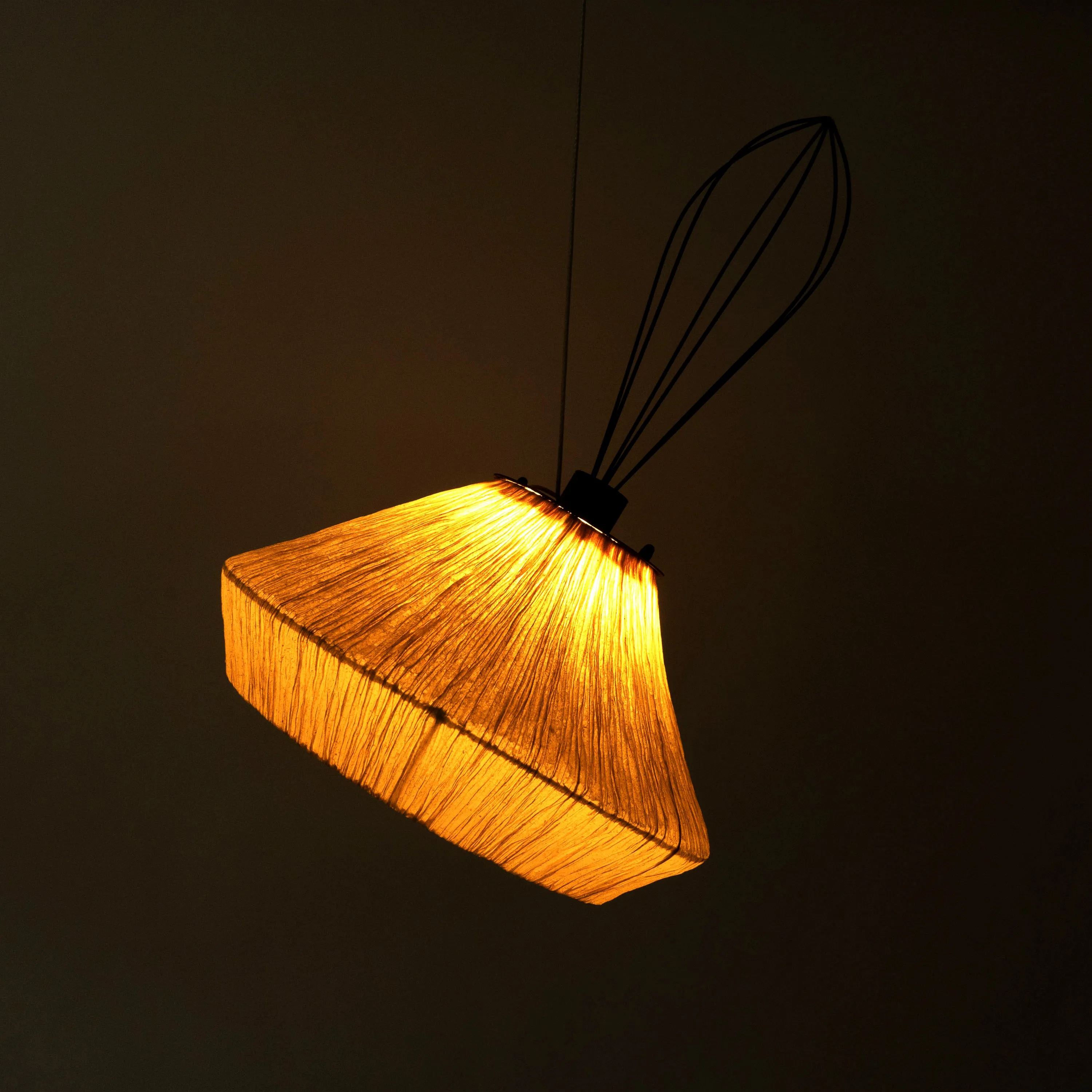 Dandelion Pendant Lamp