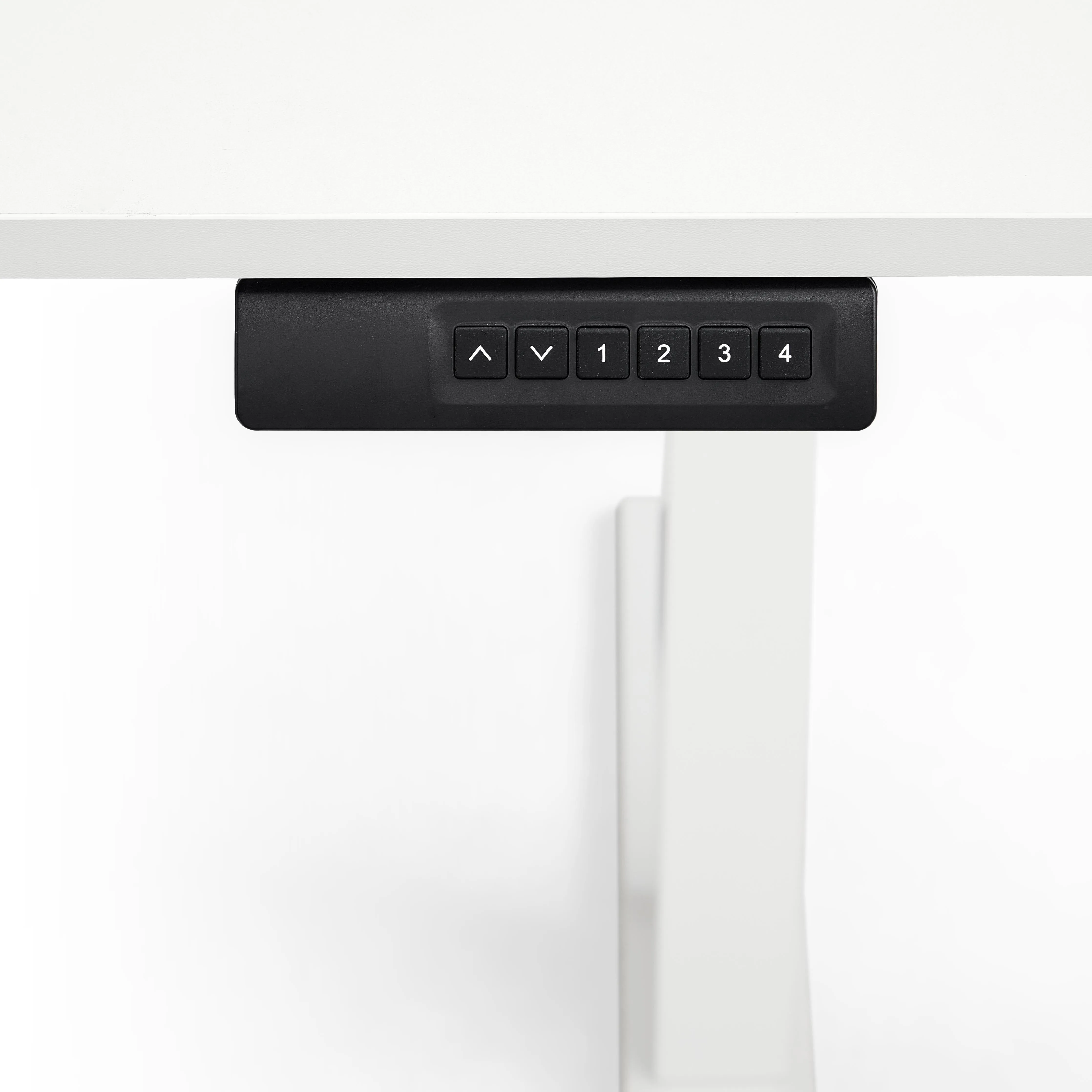 FINN Adjustable Electric Standing Desk