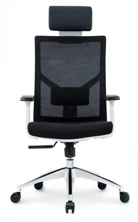 Mesh Executive Swivel Office Chair for Home, Office, Shops