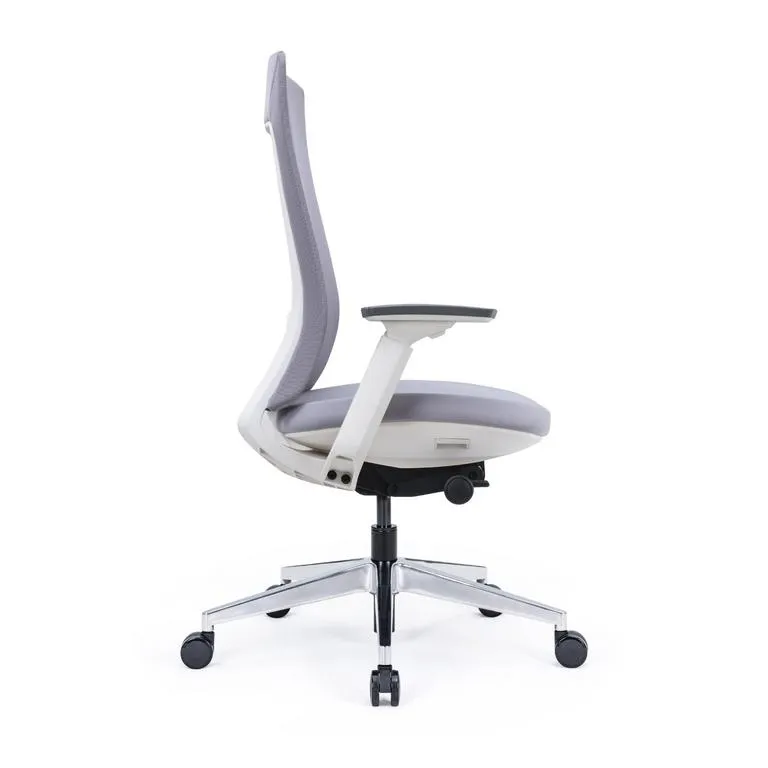 Modern Ergonomic Office Chair with High Density Soft Cushion for Long Use, Grey