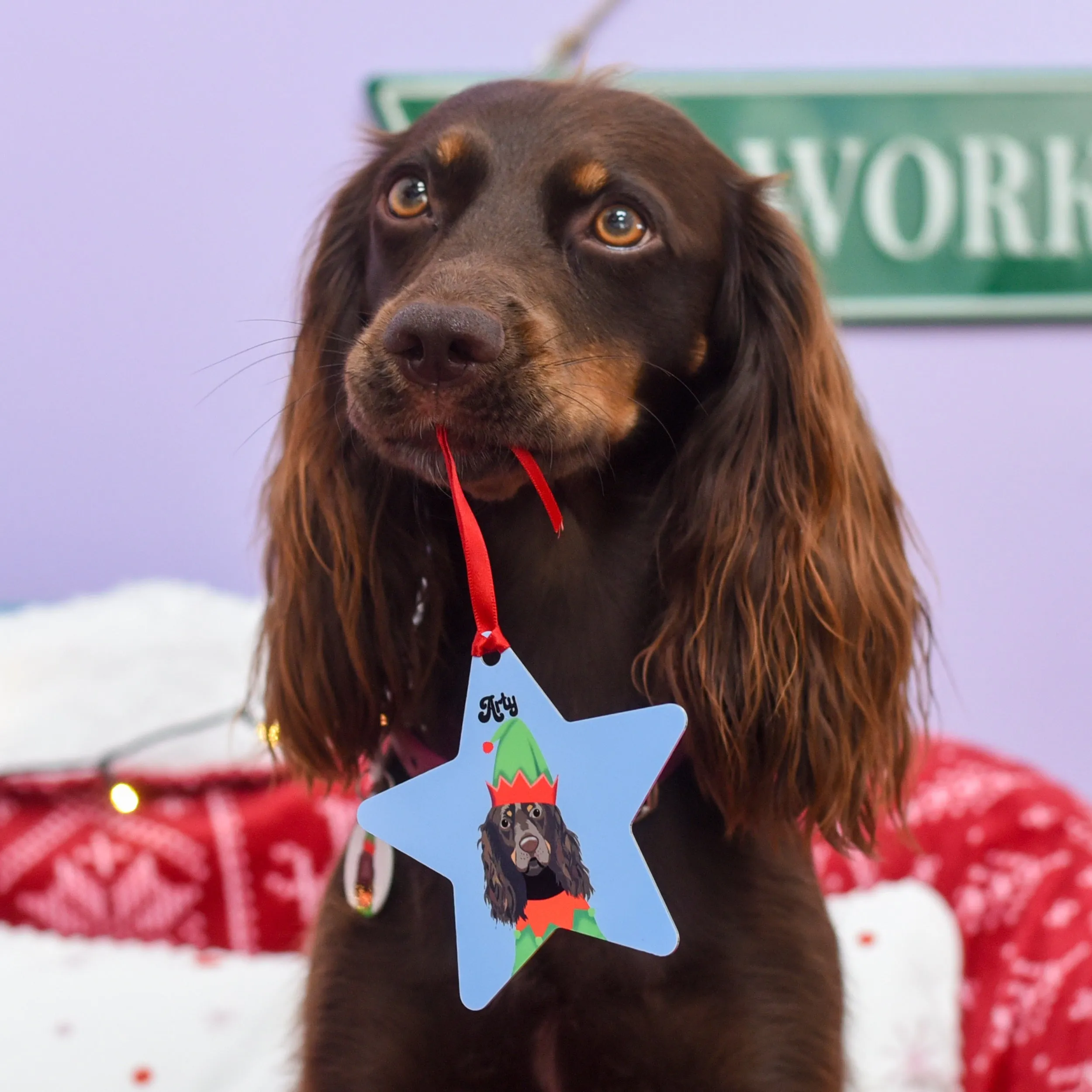 Personalised Elf Dog Christmas Decoration