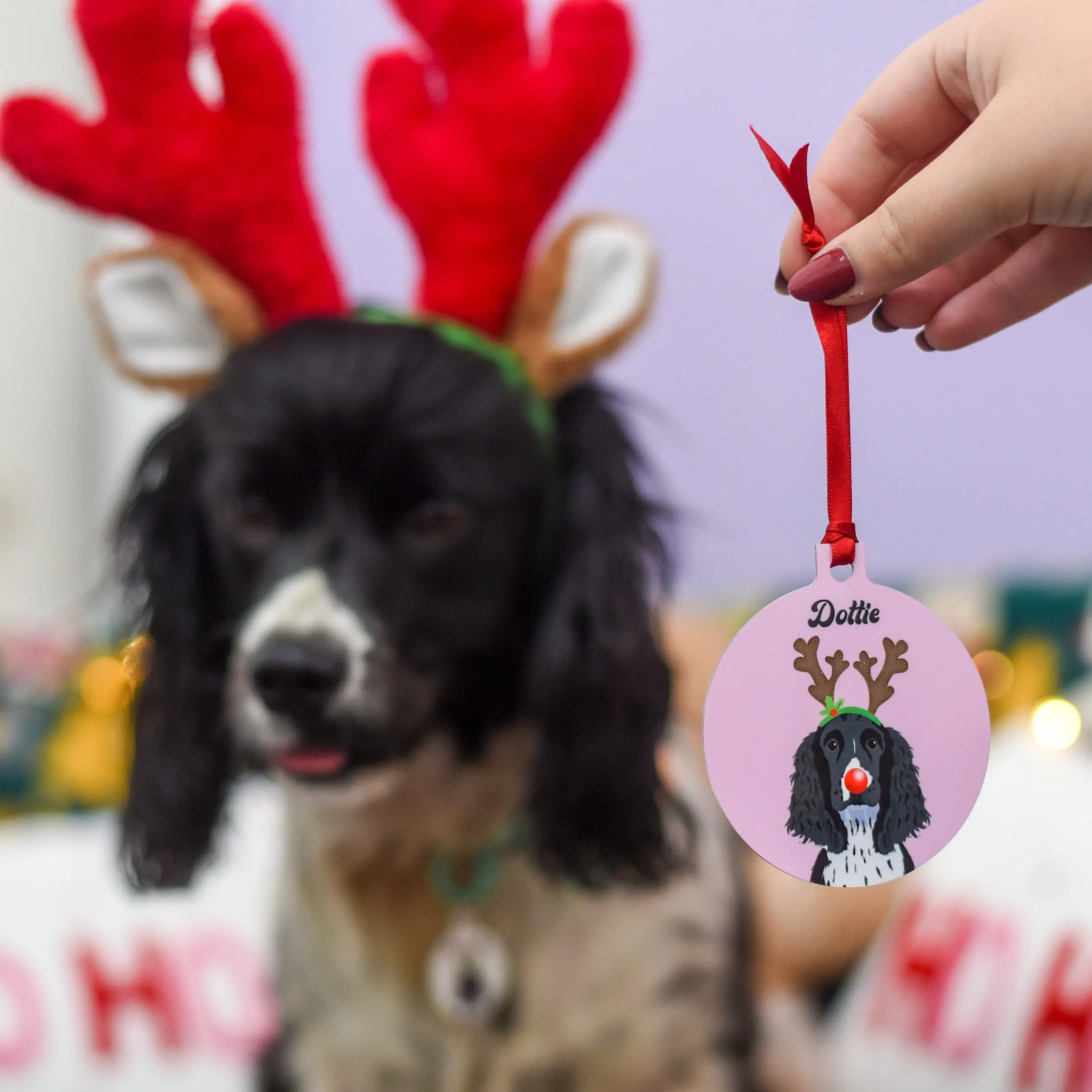 Personalised Reindeer Dog Christmas Decoration