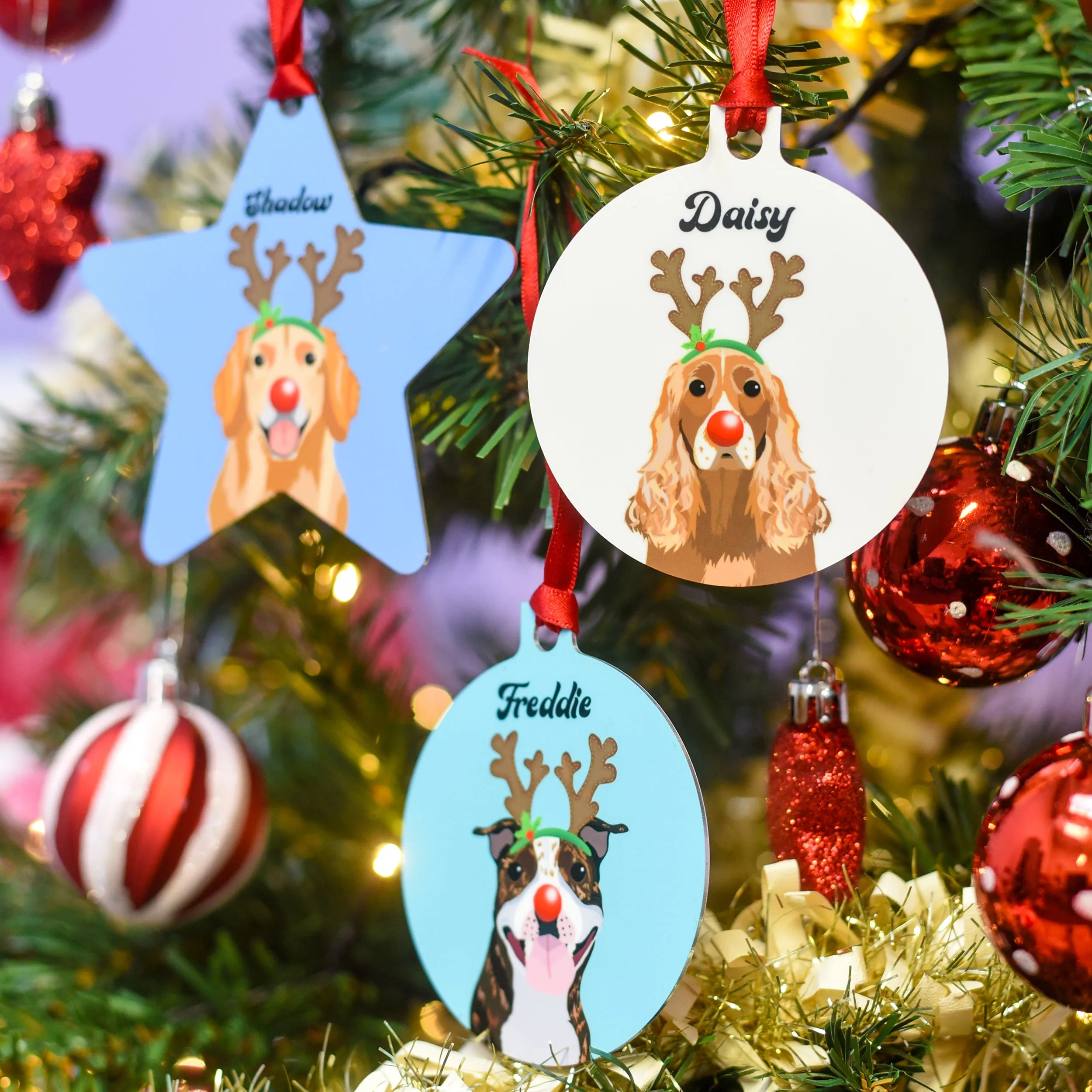 Personalised Reindeer Dog Christmas Decoration