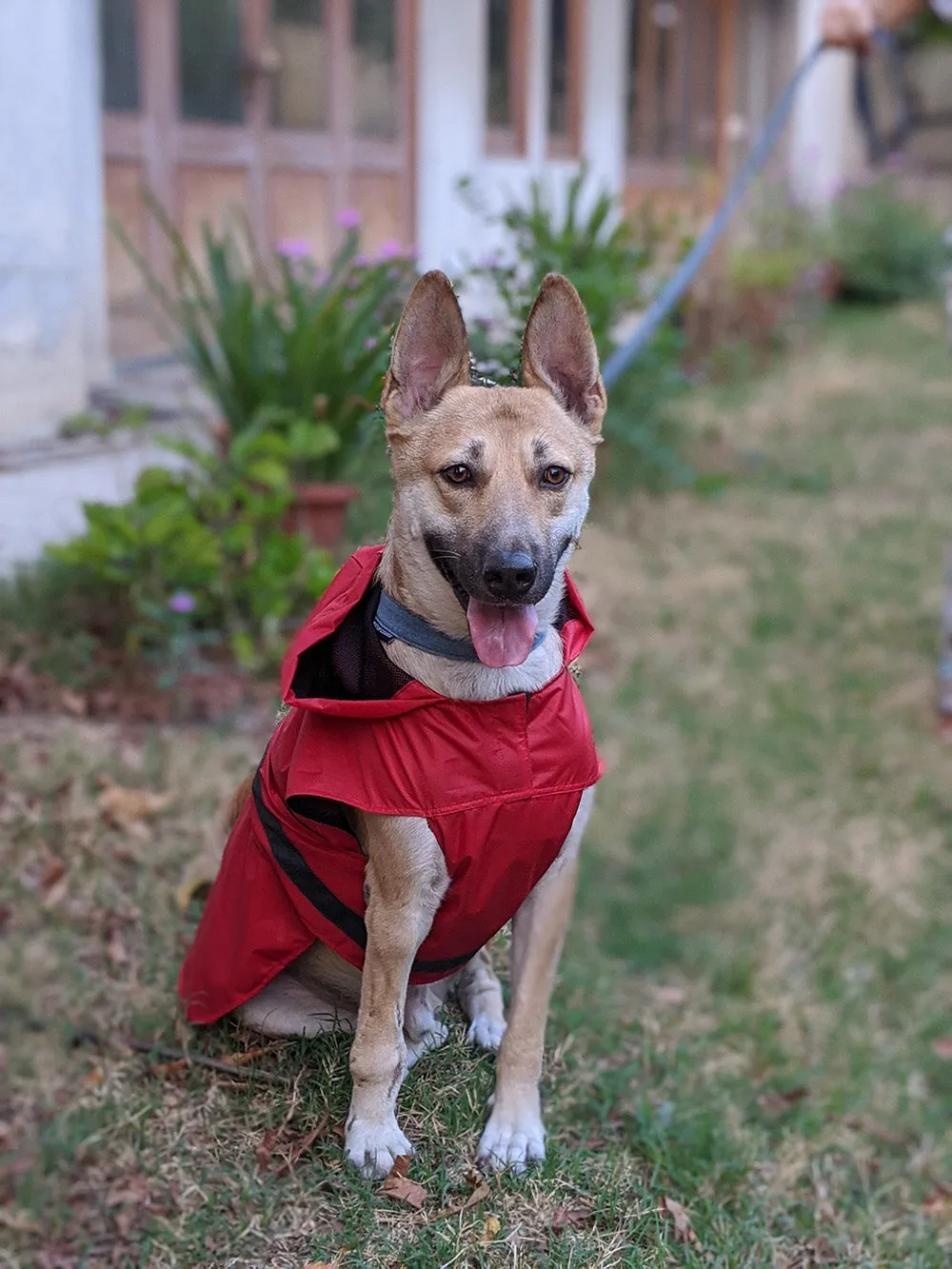 Radiant Red Raincoat