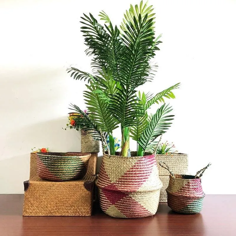 Seagrass plant baskets