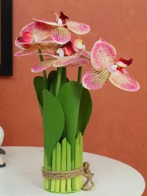 TIED RIBBONS Polyester Artificial Orchid Flowers Plant For Decoration (Multi, 27.4 Cm X 6.3 Cm) Decorative Items For Home Decor Table Craft Office Living Room Bedroom Restaurant Gifting