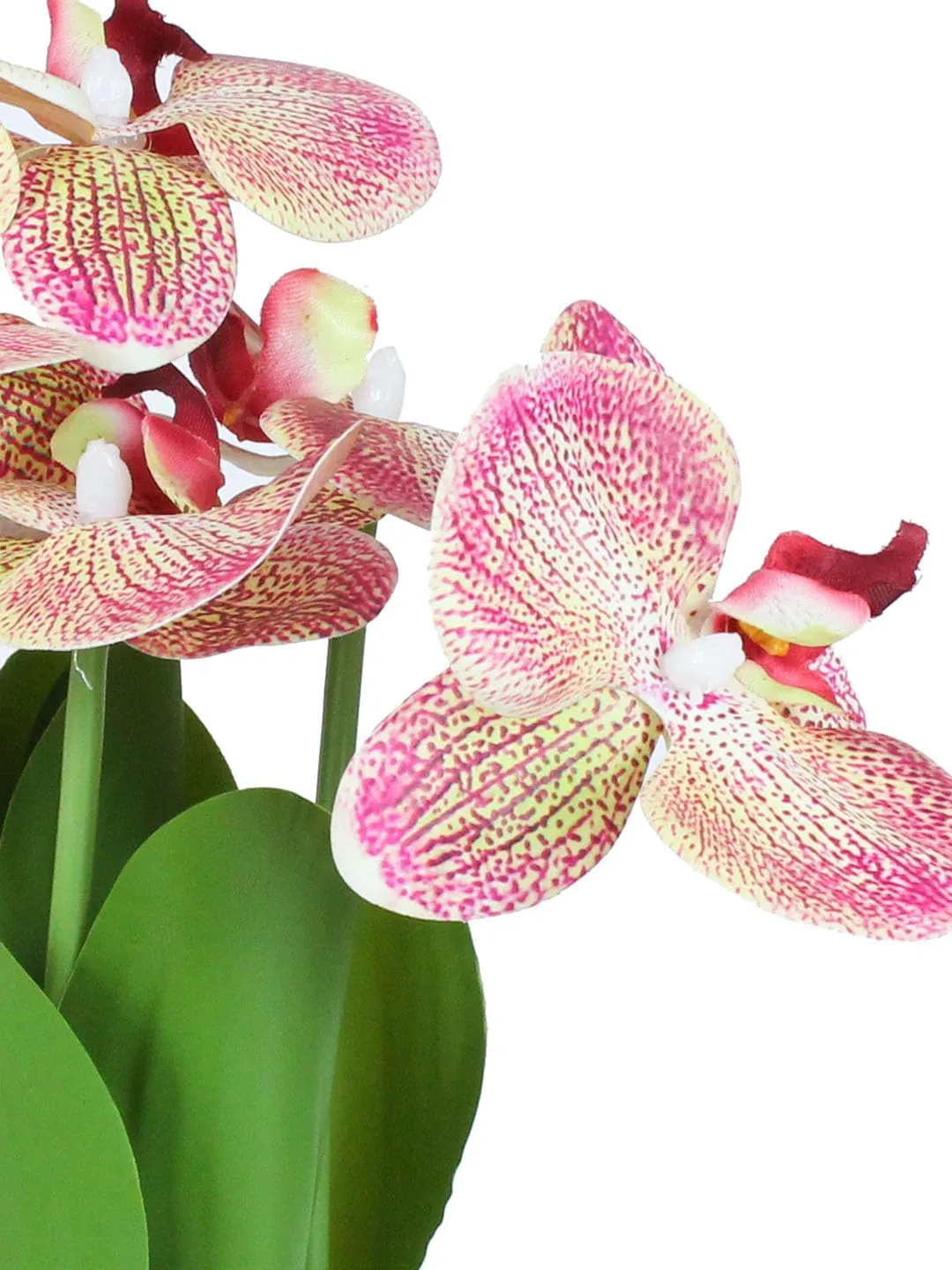 TIED RIBBONS Polyester Artificial Orchid Flowers Plant For Decoration (Multi, 27.4 Cm X 6.3 Cm) Decorative Items For Home Decor Table Craft Office Living Room Bedroom Restaurant Gifting